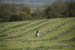 PtP 250921 044