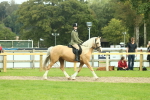 SBM_62643