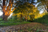 Autumn Evening at Minnowburn