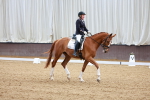 SBM_001355