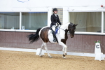 SBM_003564