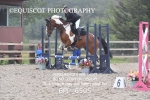 BPP_6505