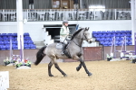 SBM_002308