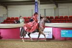 SBM_15781