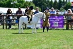 SBM_05921