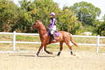 SBM_002253