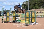 BPP_6946