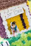 North Show 2017-104
