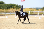 SBM_012628