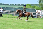 SBM_07934