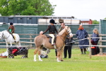 SBM_08185