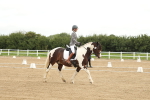 SBM_007140