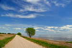 Audru polder, Estonia
