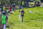 The Finish-1460