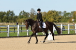 SBM_003346