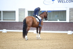 SBM_008505