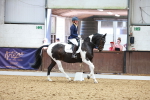 SBM_011232