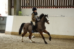 AJG_2955