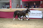 SBM_06624
