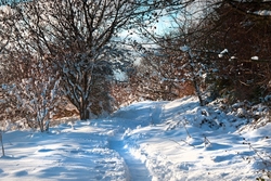 Winter's Path.