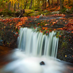 Autumn at Cloughleagh