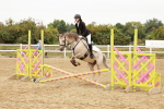 SBM_007435