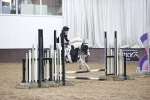 SBM_000347