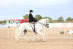 SBM_03400