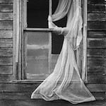 Fluttering Curtain.