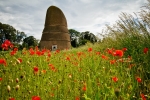 east lothian-11