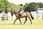 SBM_18037