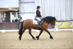 SBM_004224