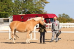 SBM_17668