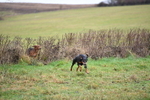 WJ5_6143