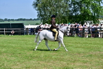 SBM_13904