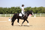SBM_009036