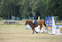 WJ6_8961