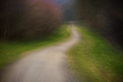 Footpath