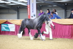 SBM_20970