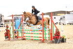 SBM_006378