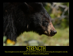 Strength Poster with Border JULY 2016