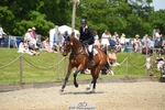312-J'ADORE_SALSA-Michael_Owen-SUNTrotUp+SJ portfolio