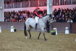 SBM_004794