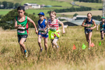 Tebay U11-10