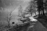 Misty Mallards Pike in Monochrome