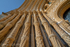 Museum Curves
