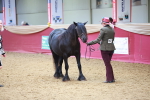 SBM_04237