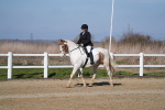 SBM_001885