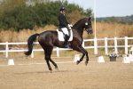 SBM_008232