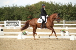 SBM_003366